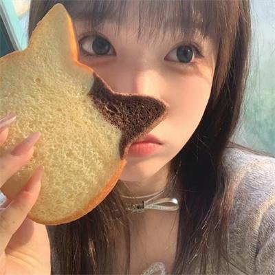 动画纪录